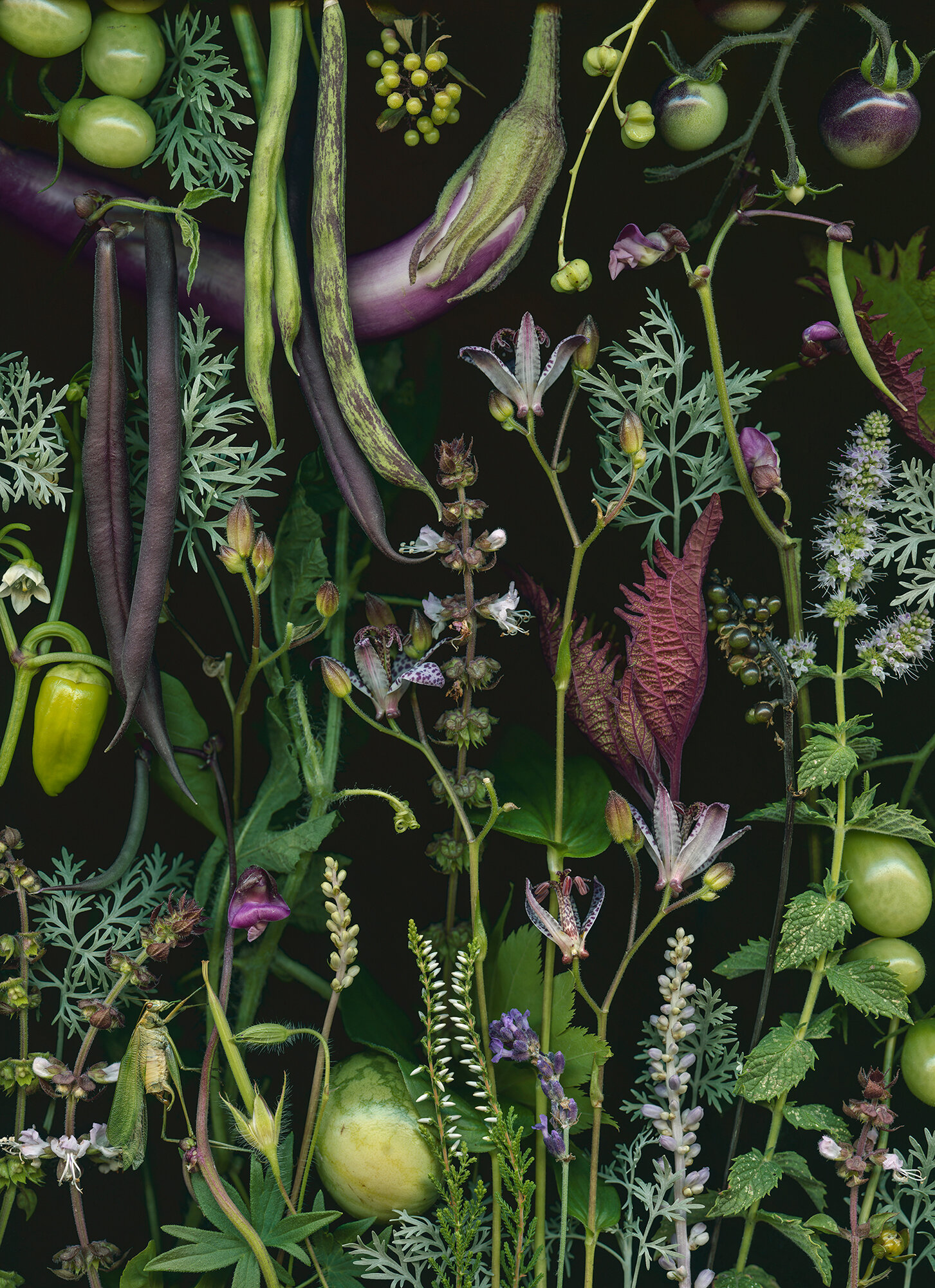 Still Life with Landscape by Mark Granlund